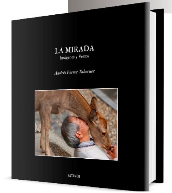 La mirada, de Andrés Ferrer